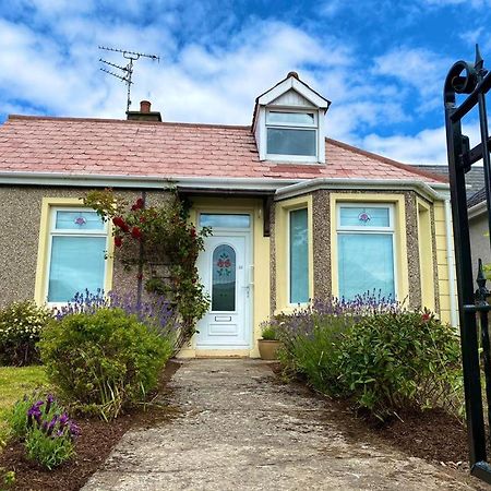 פורטראש Rose Cottage: Delightful 4 Bedroom Detached Home מראה חיצוני תמונה